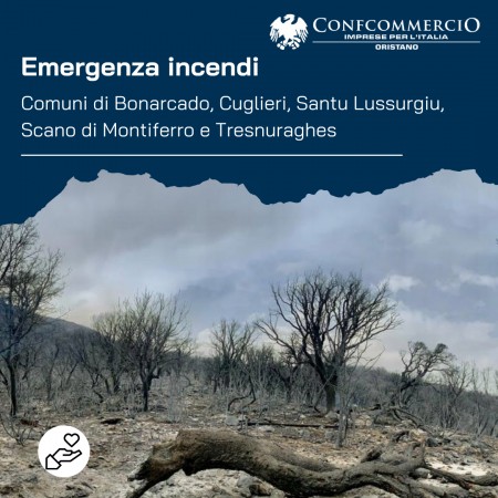 Emergenza incendi – Raccolte fondi ufficiali