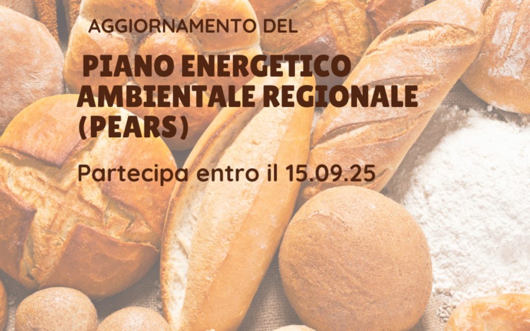 Collaborazione al Piano Energetico Regionale – Settore panificatori e pasticceri