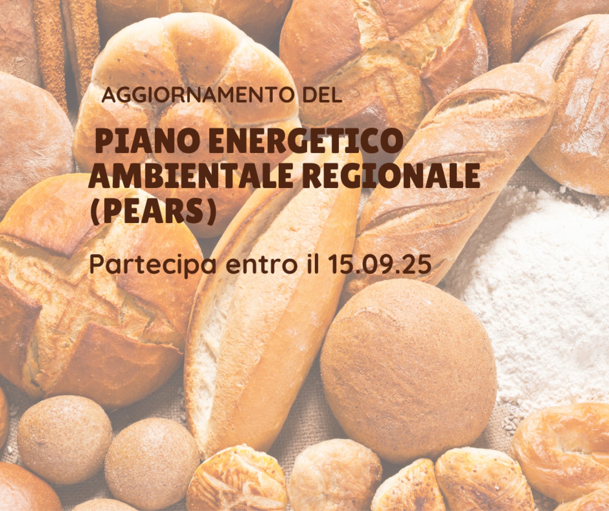Collaborazione al Piano Energetico Regionale – Settore panificatori e pasticceri
